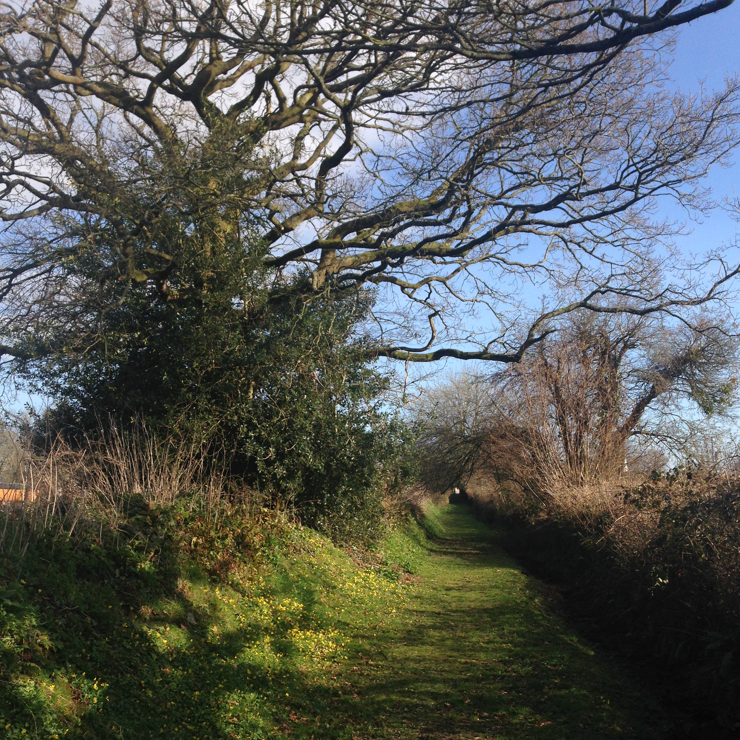 Our bed and breakfast is surrounded by beautiful walks