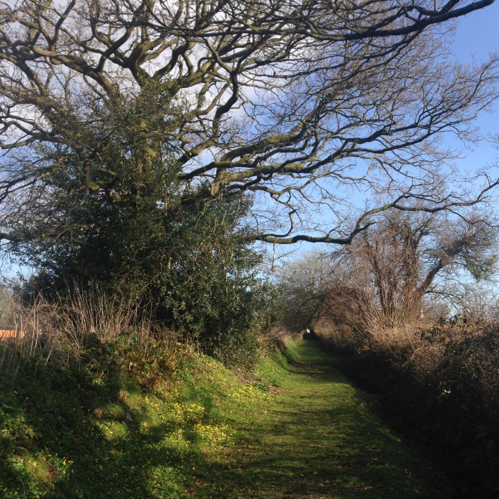 Our bed and breakfast is surrounded by beautiful walks